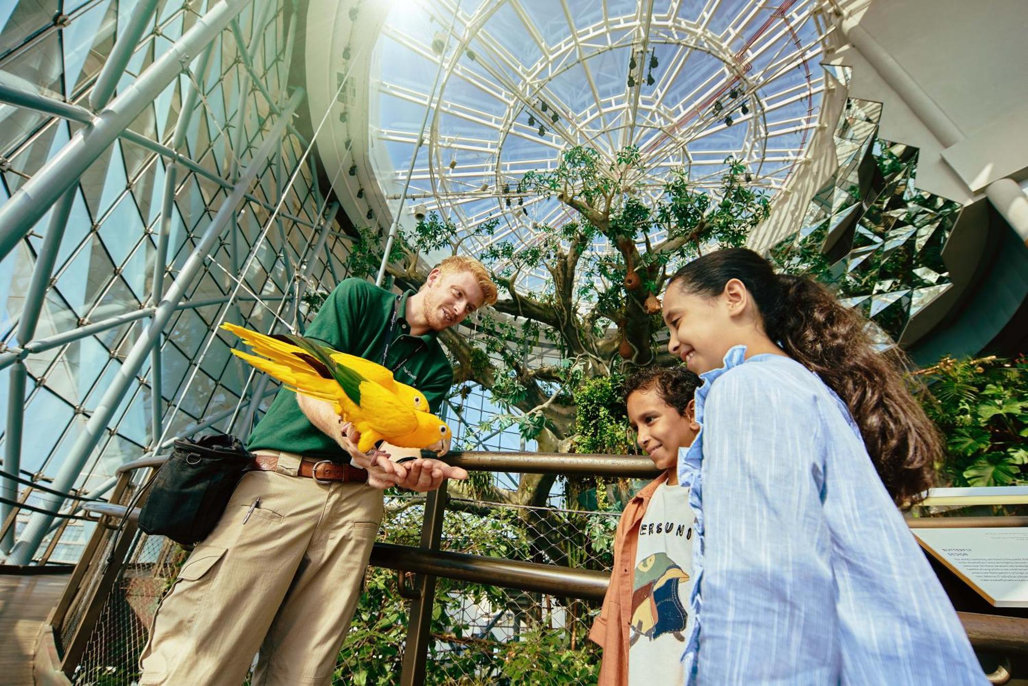 La Ville Hotel & Suites City Walk Dubai, Autograph Collection Exterior foto The Aviary